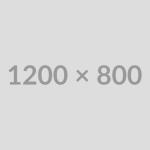 Top 5 New Cars to Look Out for in 2024